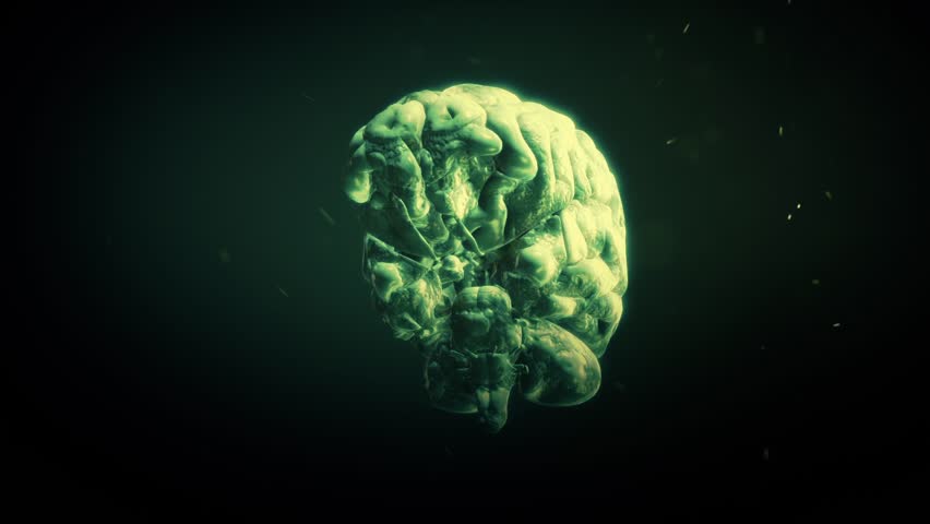 Human Brain - Rotten Spinning Brain Inside Human Body With Green ...