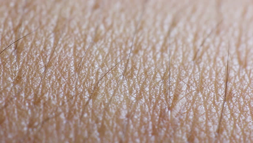 human skin closeup macro dolly stock footage 10828757 peeling skin footage page 2 stock human skin closeup macro dolly stock footage 10828757 peeling skin footage page 2 stock