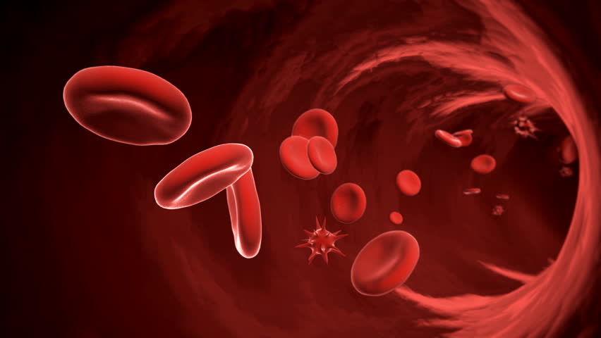 Red Blood Cells Flowing Inside A Vein. Medical Science And Health