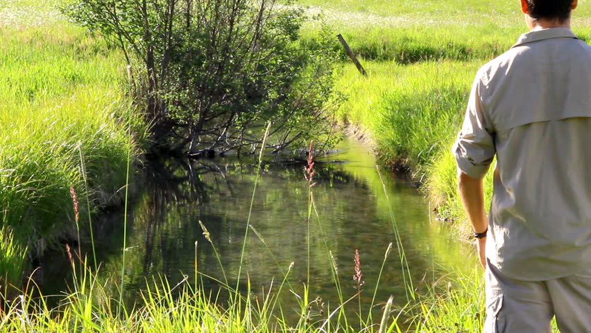 grassy creek personals Find local grassy creek nc aarp programs and information get to know the real possibility of aarp in grassy. grassy creek personals Find local grassy creek nc aarp programs and information get to know the real possibility of aarp in grassy.