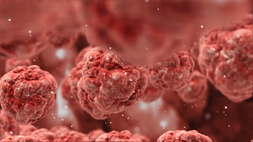 an analysis of the principles of cancer cells in the human body There are different types of cells in the human body which make up the tissues and organs a cell is the basic unit of our life you can read more about basic types of cells in the living beings. an analysis of the principles of cancer cells in the human body There are different types of cells in the human body which make up the tissues and organs a cell is the basic unit of our life you can read more about basic types of cells in the living beings.