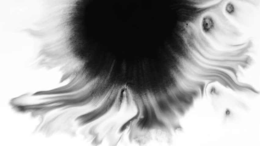 Ink splatter on white/Ink Bleed Bloom/Black expanding - HD stock video clip