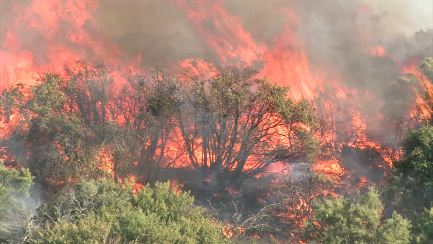 森林火灾视频素材-海洛创意正版图片,视频,音乐素材交易平台-Shutterstock中国独家合作伙伴-站酷旗下品牌