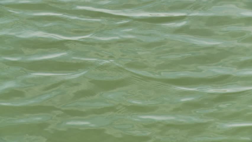 Header of flowy