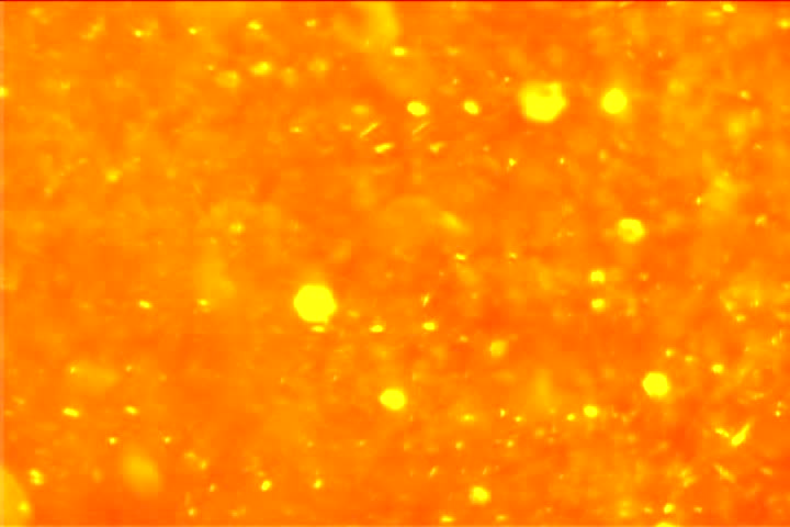 Orange Liquid Glitter Stock Footage Video 1400656 - Shutterstock