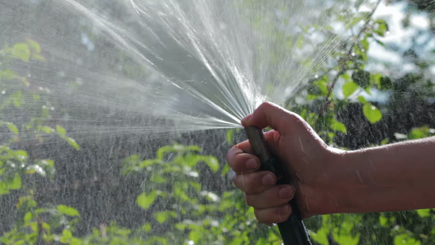 Female Hand With A Hose Watering Garden Plants Stock Footage Video ...