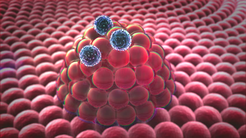 Cell Division, Microscopic Image Of Cells, 3d Rendering, Cells ...