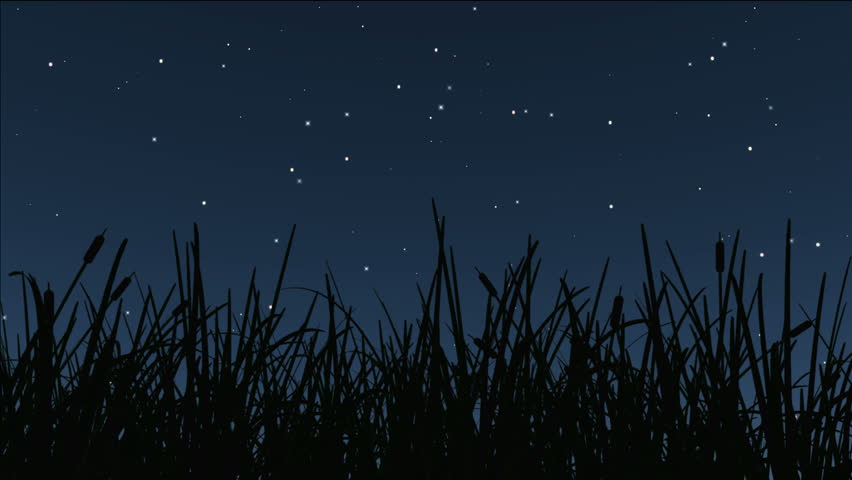 Stars Twinkle, A Shooting Star Cross Over The Sky. Stock Footage Video ...