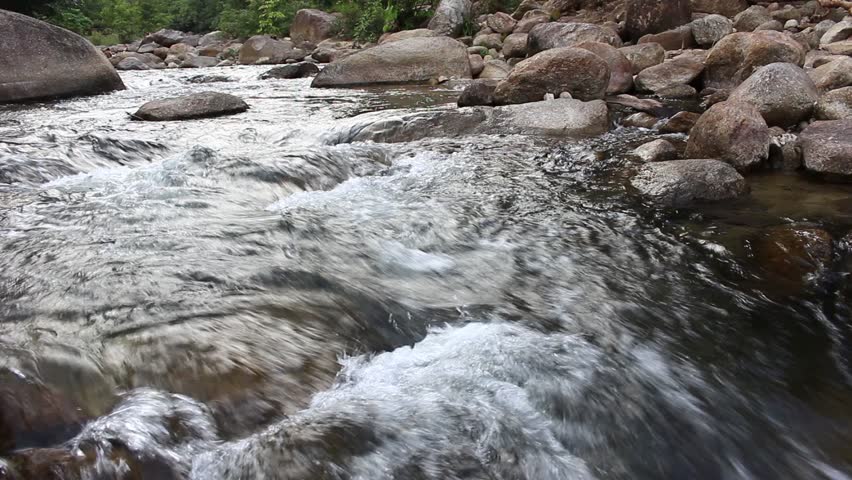 Flowing Creek Closeup,fresh Water Stock Footage Video 8777059 ...